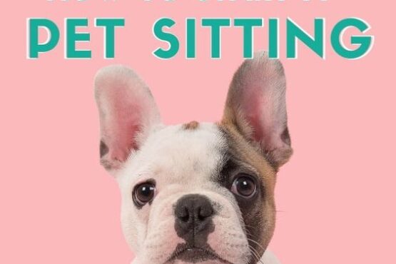 How to Start a Pet Sitting Business