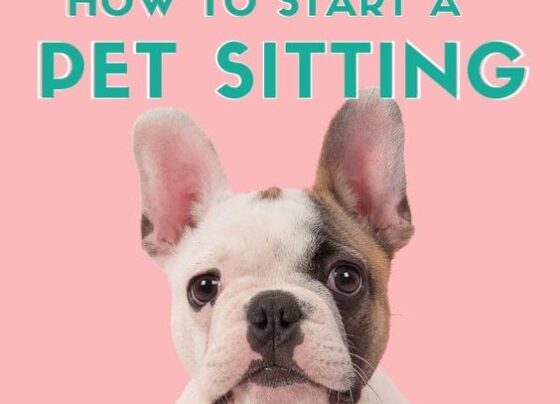 How to Start a Pet Sitting Business