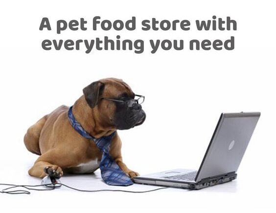 Marketing Your Pet Sitting Business