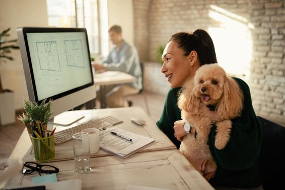 Using Technology in Your Pet Business